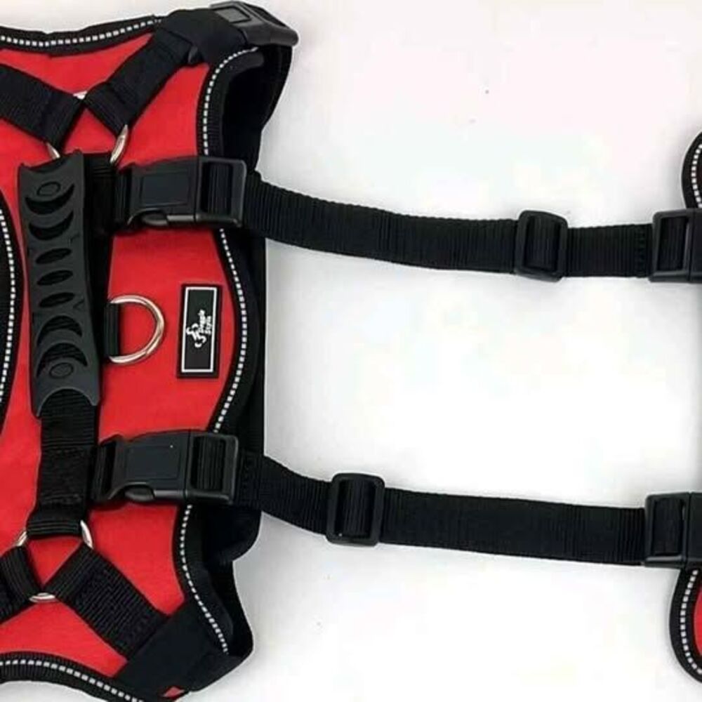 Doggie Stylz Red Dog Harness with Handle